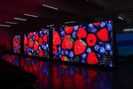 Shenzhen 3.91 Indoor