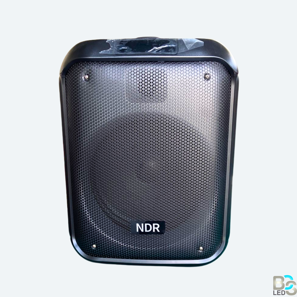 NDR-102A 12 Inch 40W LED Lights Party Speaker