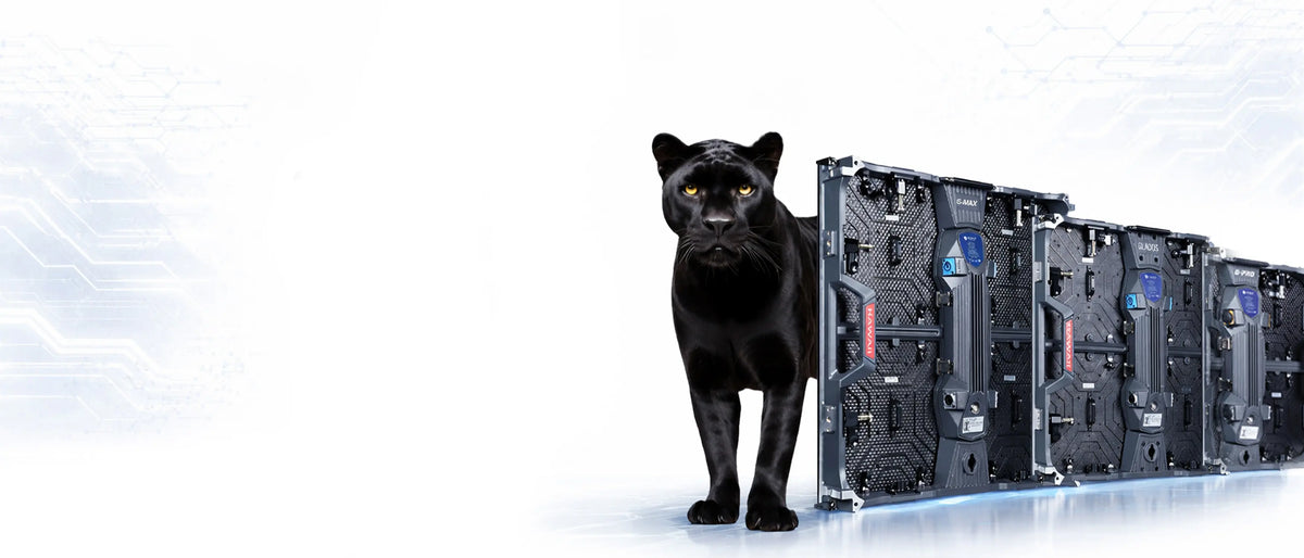 World's First Exact 2ft x 2ft Cabinet